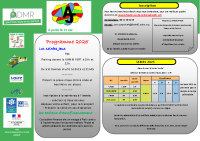 programme ado 2025